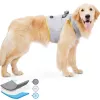 Colete de arrefecimento para cães MOZOS PV-COOL tamanho L