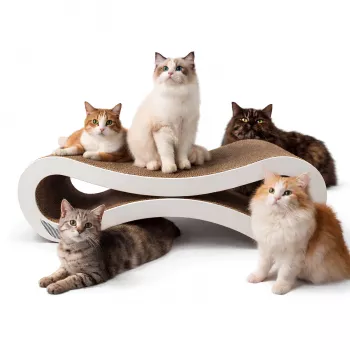 MOZOS KITTY-SPIKE Arranhador e Cama para Gatos, Cartão, Grande, 86 cm XXL