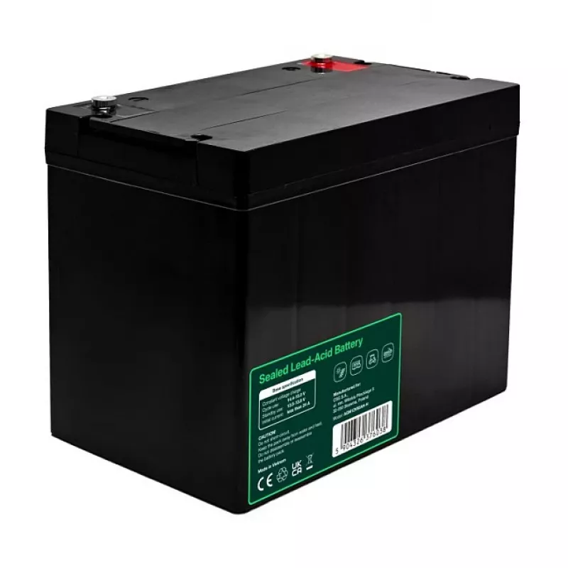 GREEN CELL Greencell AGM VRLA 12V 80Ah Bateria sem manutenção para UPS, balanças, autocaravanas (260x168x216mm)