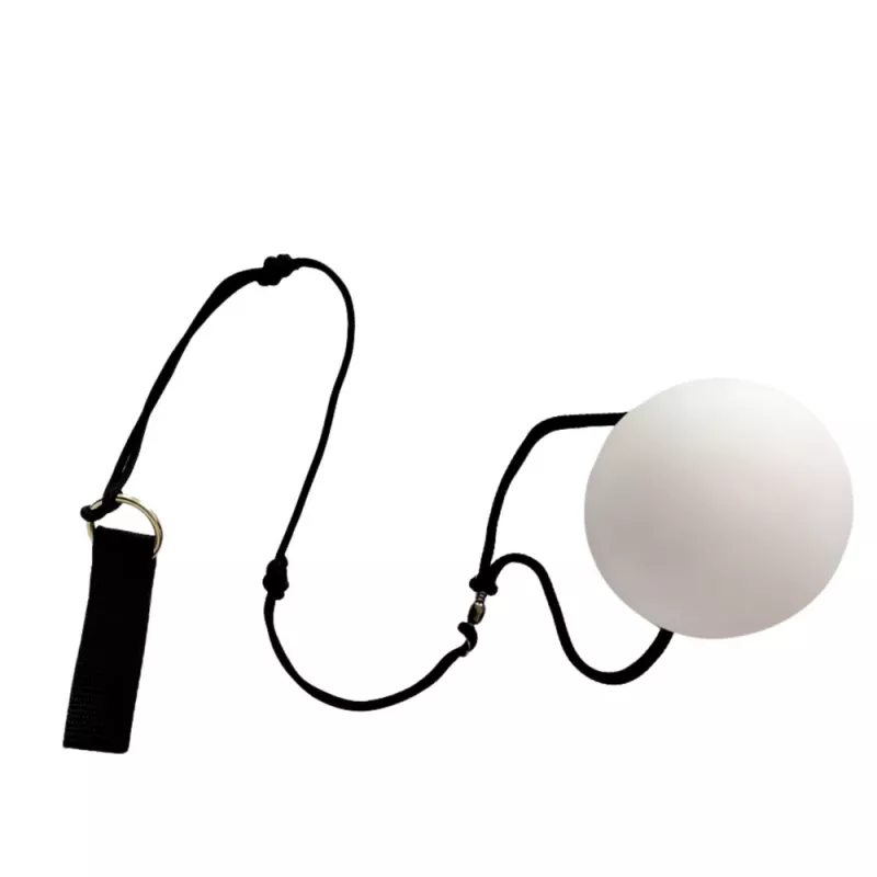 LEAN TOYS Bolas de malabarismo fibra ótica LED 2 cores