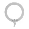 Newell LED Ring Light RL-18A - WB (3200 K - 5500 K) - Branco Ártico