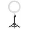 Newell LED Ring Light RL-10A Arctic White + tripé