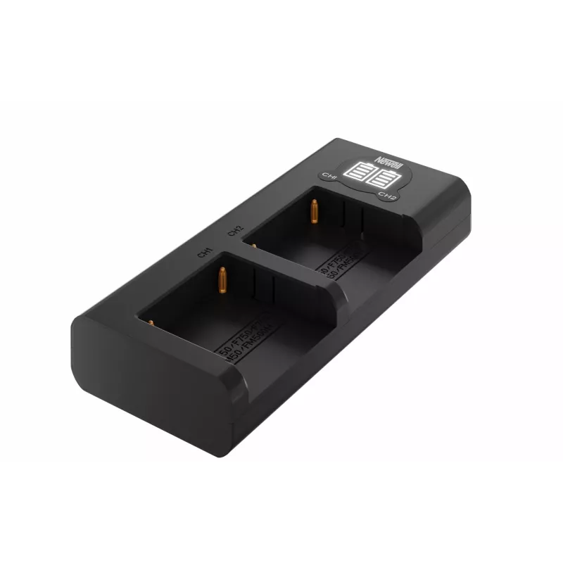 Conjunto de carregador de dois canais Newell DL-USB-C com 2 baterias NP-F570 para Sony
