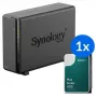 Synology DS124 + 1x HAT3310-12T (12TB) NAS desktop 1 baía