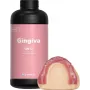 SHINING GM12 máscara gengival dentária 1kg resina 3D