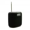 Pure Acoustics Pure Woodland Mini altifalante exterior à prova de água com rádio FM/DAB+, preto