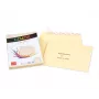 Envelope ELCO Color C5 (162 x 229 mm), sem janela, autoadesivo, 100 g/m², Camurça (creme), 25 unid. (74618.41)