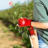 Bainha de couro FELCO 910+ para tesouras de jardim