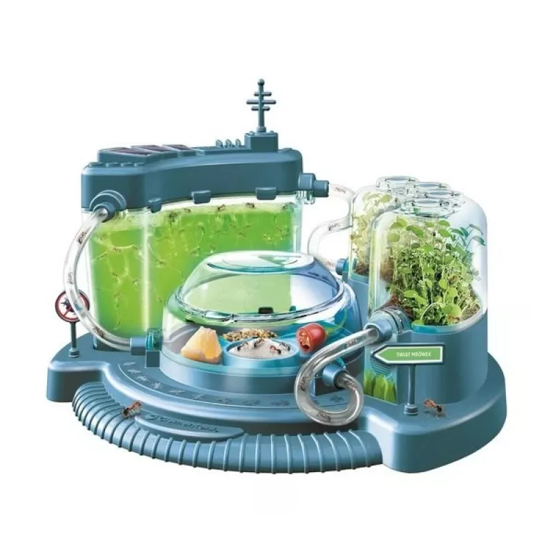 Clementoni Science & Play Formigueiro - Kit Educativo para Crianças 7+