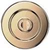 Popsockets Round Radial Gold Aluminum MagSafe Aderência e Suporte para Telefone Dourado 807259