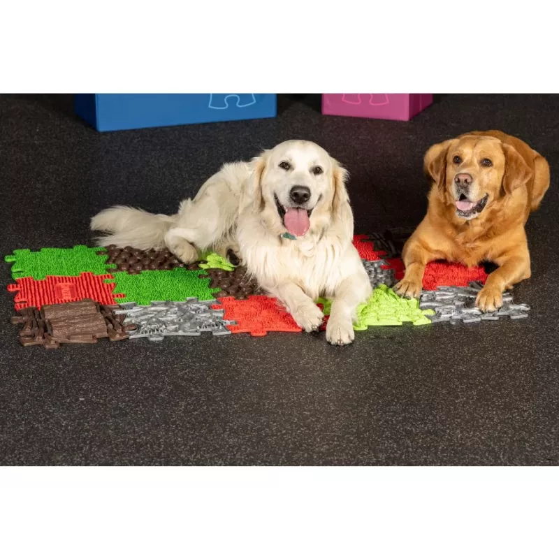 Conjunto de tapetes sensoriais ortopédicos Muffik 8-in-1 para cães MFK-069