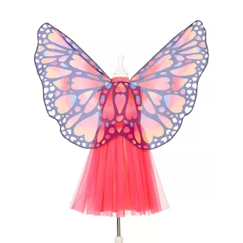 Souza! Conjunto de vestido e asas de fantasia de borboleta Papillon 3-4 anos