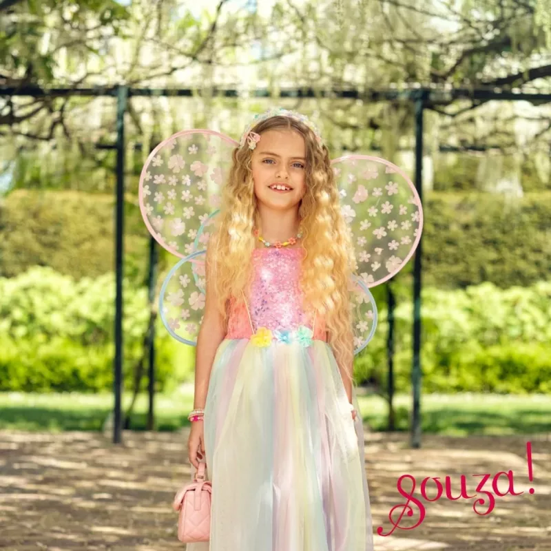 Souza! Vestido de fantasia de fada borboleta com asas Flora 3-4 anos