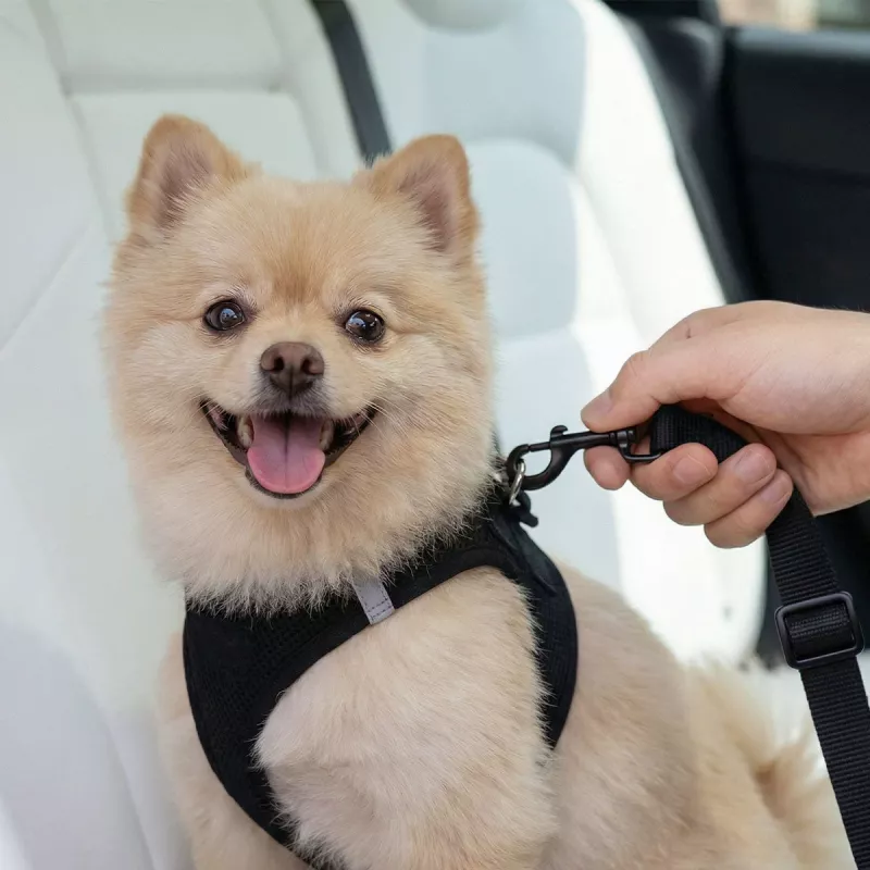 SPIGEN PS100 suporte universal de cinto de segurança para animais de estimação preto