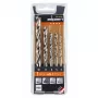 ALPEN-MAYKESTAG Alpen PTM 5 Profi madeira conjunto de brocas para madeira 4-5-6-8-10, 5 peças, 4-10 mm