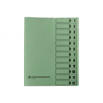 Pasta organizadora Bene 12 compartimentos verde A4