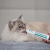 VETEXPERT TrichoCat Pasta anti-bolas de pelo para gatos 120 g