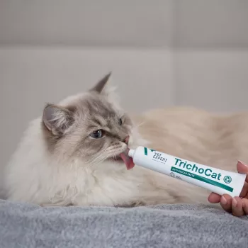 VETEXPERT TrichoCat Pasta anti-bolas de pelo para gatos 120 g