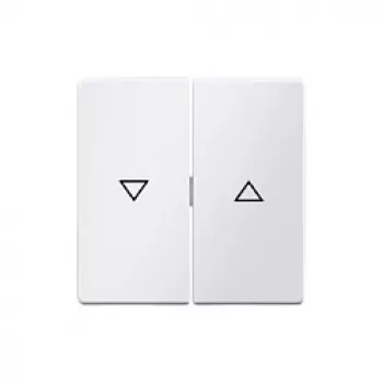 Tecla com símbolo de seta Berker 16256089, branco polar mate