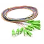 12x Pigtail SC/APC monomodo G.657.A2 2m conectores dourados