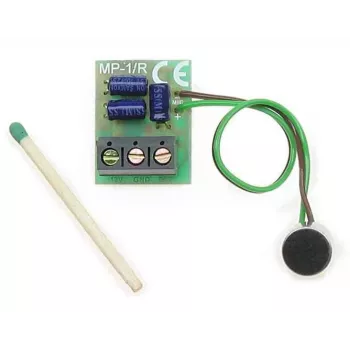 DELTA Módulo pré-amplificador de áudio MP-1/R com controlo de tom