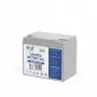 VOLT POLSKA Bateria LiFePO4 12V 60Ah 60A