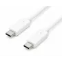 Accura Cabo USB-C para USB-C 2,0 m 100 W Branco