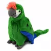 Papagaio de peluche Arara ave exótica mascote peluche verde 24 cm LEAN TOYS