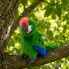 Papagaio de peluche Arara ave exótica mascote peluche verde 24 cm LEAN TOYS