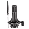 Microfone condensador de estúdio sE Electronics sE2200 Black