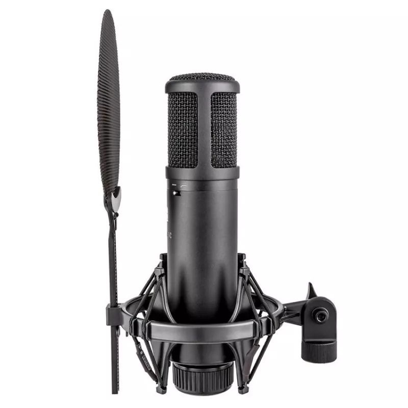 Microfone condensador de estúdio sE Electronics sE2200 Black