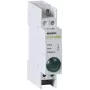 Luz indicadora LED verde NOARK Ex9PD1g 230V AC/DC 22mm encastrar IP65