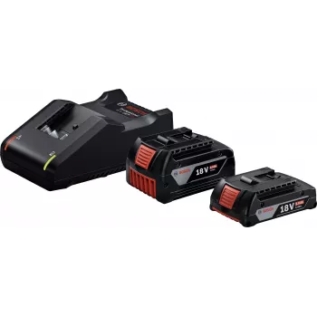 Kit inicial 18V (GBA 18V 4.0/2.0Ah + GAL 18V-40 Professional) (preto, 2x bateria de iões de lítio, AMPShare Alliance)