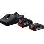 Kit inicial 18V (GBA 18V 4.0/2.0Ah + GAL 18V-40 Professional) (preto, 2x bateria de iões de lítio, AMPShare Alliance)