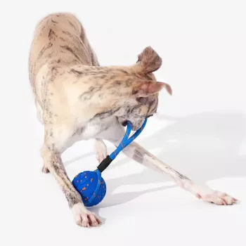 Brinquedo interativo para cães Cheerble Wicked Ball Air Rope