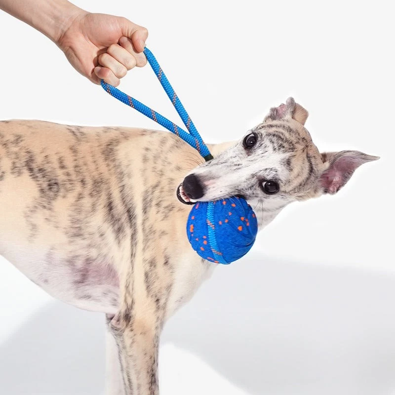 Cheerble Wicked Ball Air Rope brinquedo para cães, Royal Blue