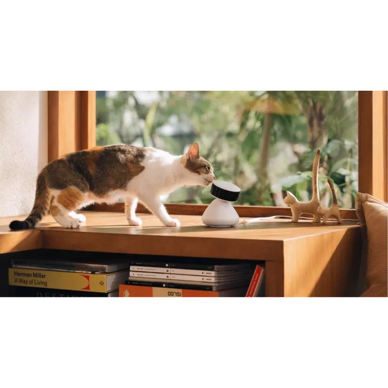 PETLIBRO Scout Smart AI câmara