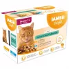 IAMS Delights Senior Land & Sea Collection em molho 12x85g