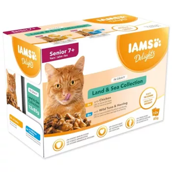 IAMS Delights Senior Land & Sea Collection em molho 12x85g