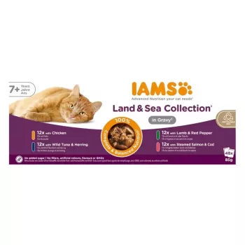 IAMS Delights Senior Land & Sea Collection em molho 12x85g