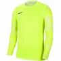 Jersey de guarda-redes Dry Park IV JSY LS GK Nike lime CJ6066 702 2XL