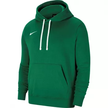 Sweatshirt com capuz Nike Team Club 20 para homem verde-pinheiro/branco