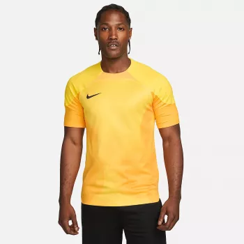 Camisola de guarda-redes para homem Nike Dri-FIT ADV Gardien IV Opti Yellow/preto M