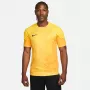 Camisola de guarda-redes para homem Nike Dri-FIT ADV Gardien IV Opti Yellow/preto M