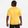 Camisola de guarda-redes para homem Nike Dri-FIT ADV Gardien IV Opti Yellow/preto M