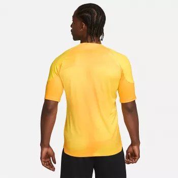 Camisola de guarda-redes para homem Nike Dri-FIT ADV Gardien IV Opti Yellow/preto M