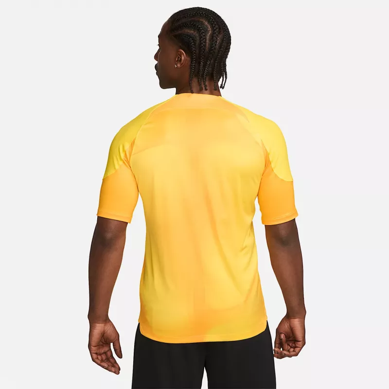 Camisola de guarda-redes para homem Nike Dri-FIT ADV Gardien IV Opti Yellow/preto M