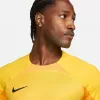 Camisola de guarda-redes para homem Nike Dri-FIT ADV Gardien IV Opti Yellow/preto M