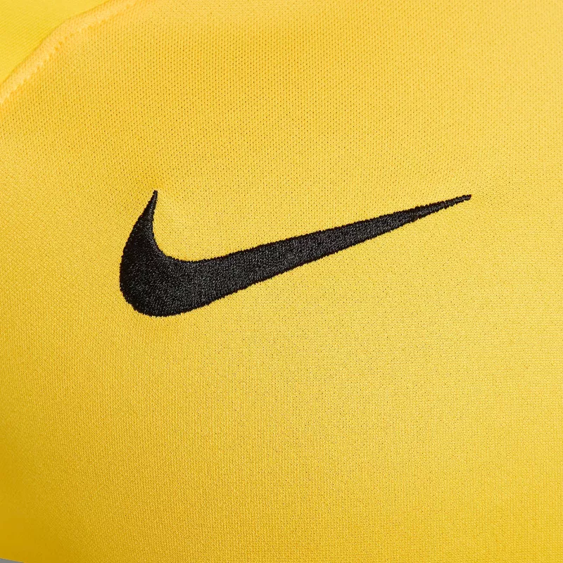 Camisola de guarda-redes para homem Nike Dri-FIT ADV Gardien IV Opti Yellow/preto M