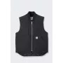 Carhartt V01 Firm Duck colete isolado preto